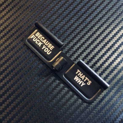 Cover - Because Fuck You