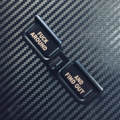 Cover - Fuck Around And Find Out